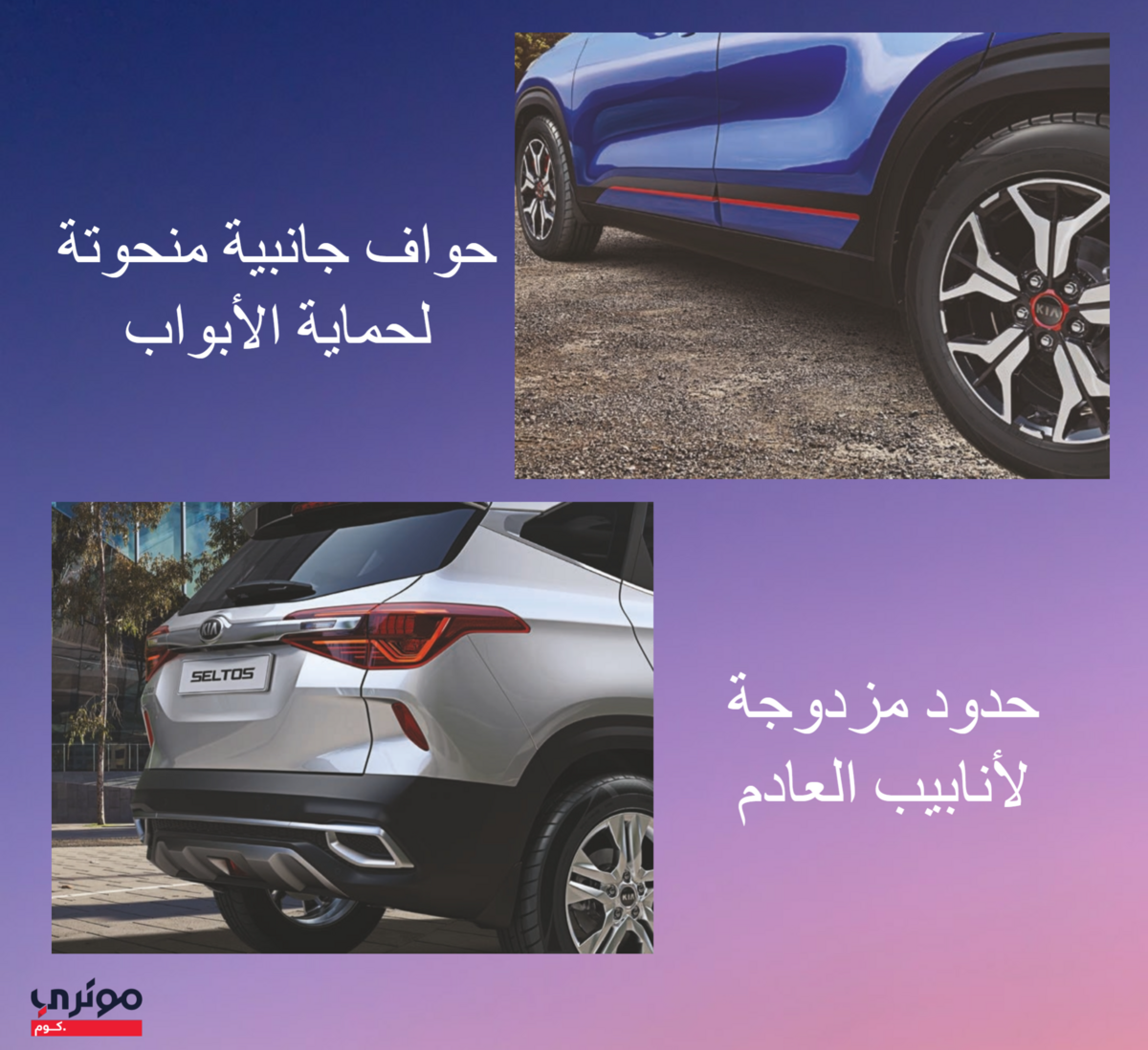 سيلتوس
